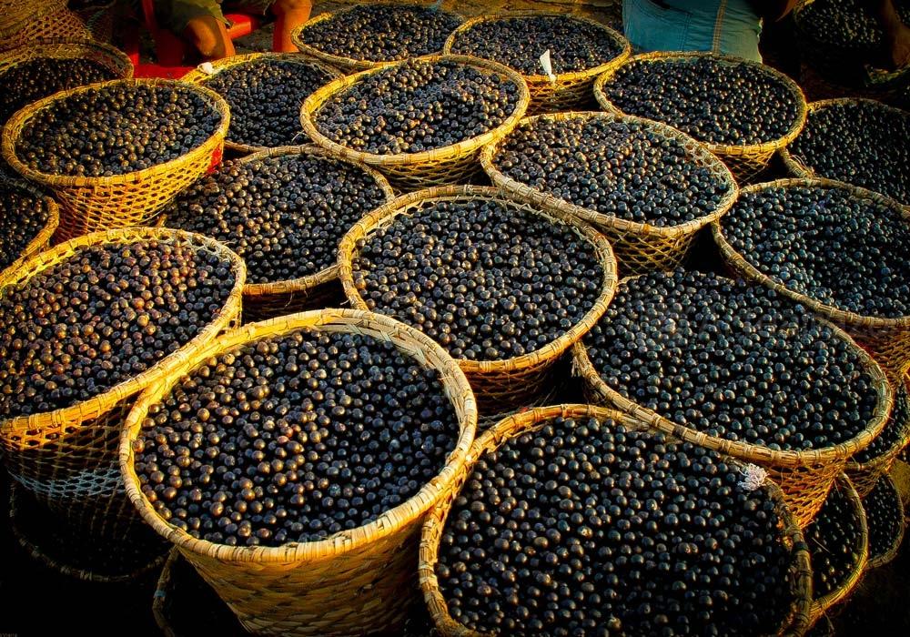 Açaí